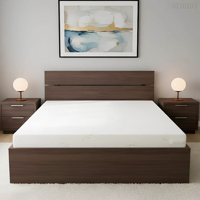 Đánh giá nệm foam hãng nào tốt? Top 5 thương hiệu đáng mua nhất
