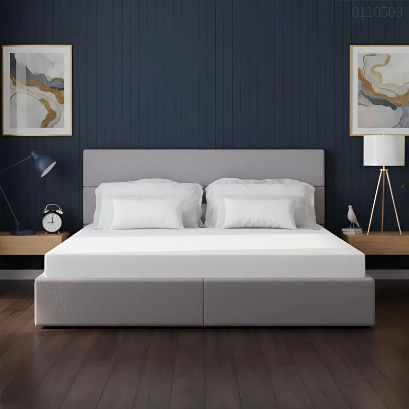 Top 5 loại nệm cao su tốt nhất cho sức khỏe gia đình bạn nên mua