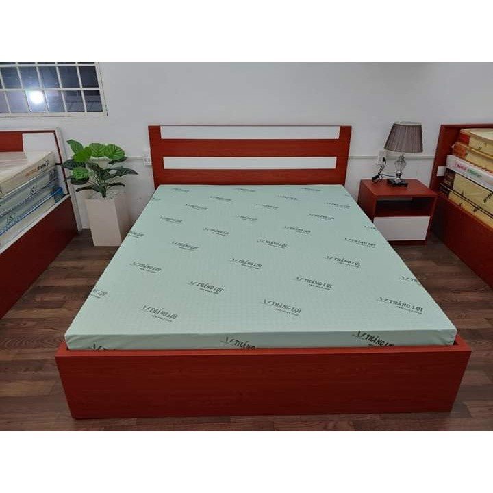 Nệm cao su Thắng Lợi - Cao su non giá rẻ, siêu bền, đàn hồi tốt