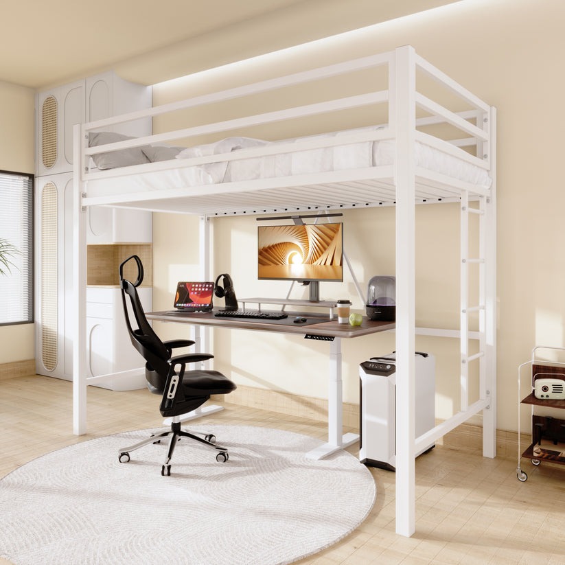 Giường sắt 1 tầng Cairo