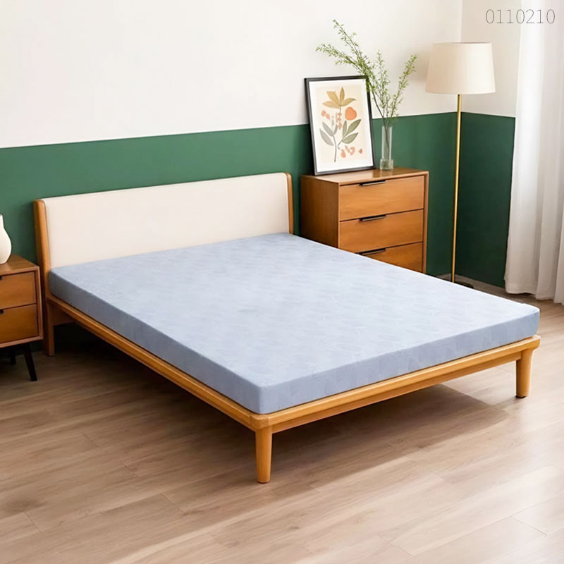 Top 5 mẫu nệm bông ép sinh viên giá rẻ, dùng bền, dễ di chuyển