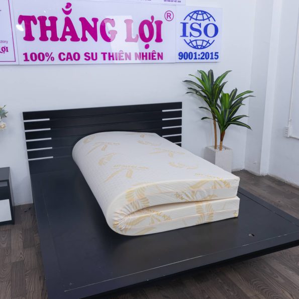 Nệm cao su Thắng Lợi - Cao su non giá rẻ, siêu bền, đàn hồi tốt