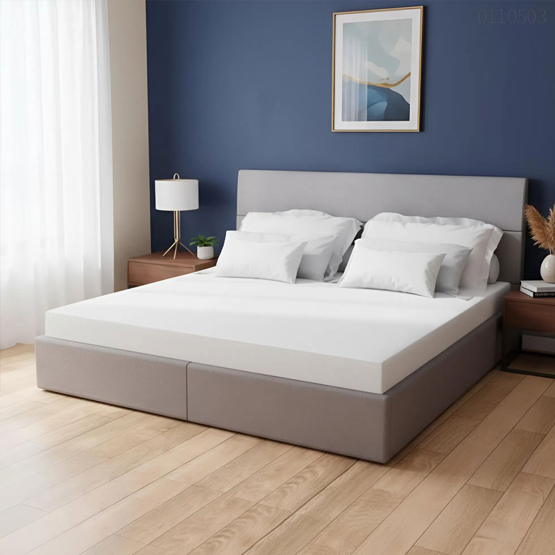 Top 10 hãng nệm cao su tốt nhất, uy tín, bảo hành dài hạn