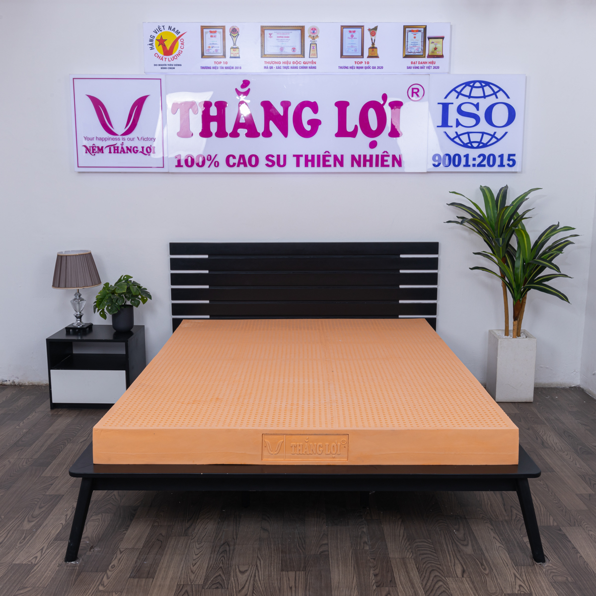 Nệm cao su Thắng Lợi - Cao su non giá rẻ, siêu bền, đàn hồi tốt