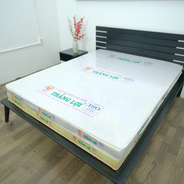 Nệm cao su Thắng Lợi - Cao su non giá rẻ, siêu bền, đàn hồi tốt