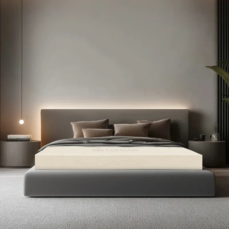 Top 5 loại nệm cao su tốt nhất cho sức khỏe gia đình bạn nên mua