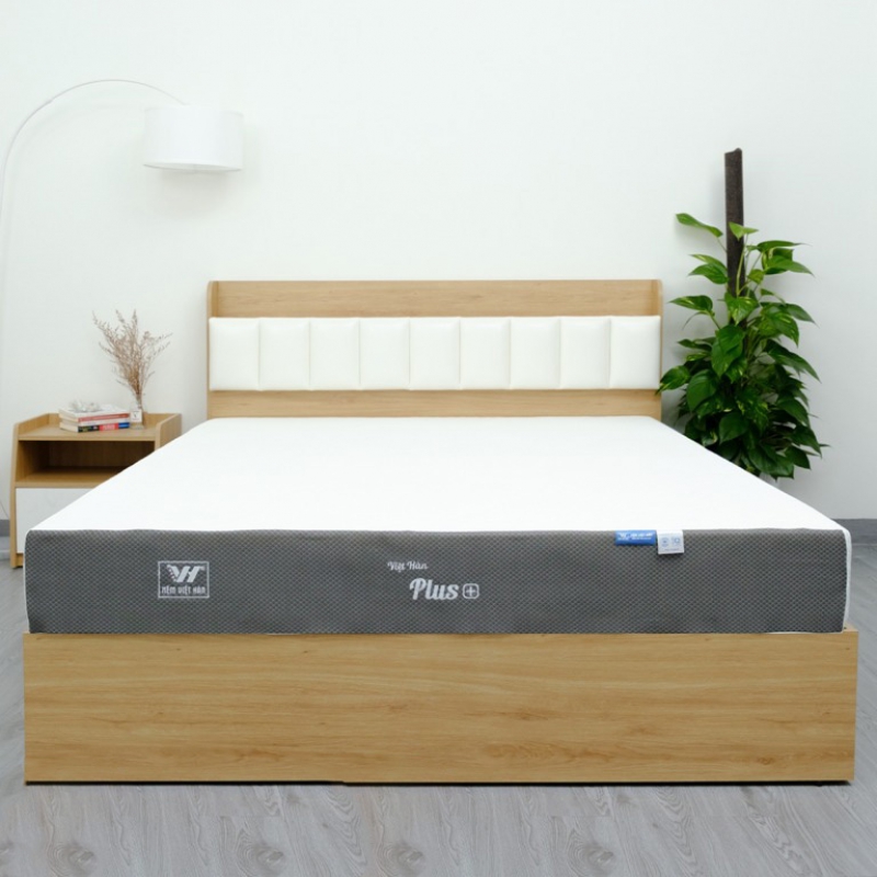 Nệm foam Việt Hàn Plus